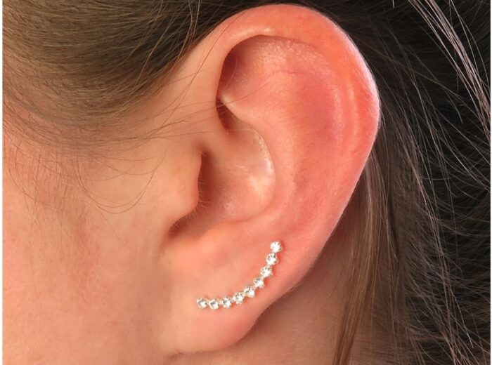 crawler earrings